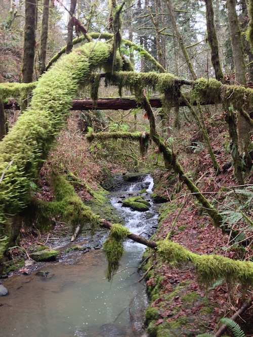 photo of Balch Creek
